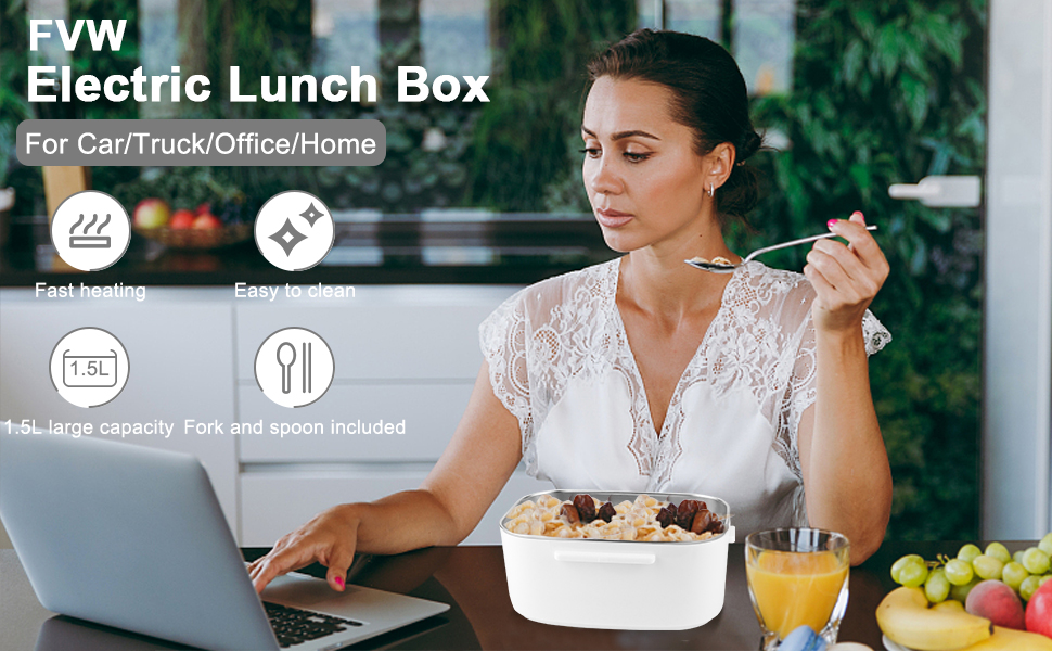electric lunch box