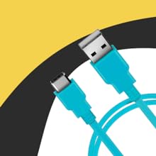 USC-C charging cable safe fast charge no tangle Switch Lite