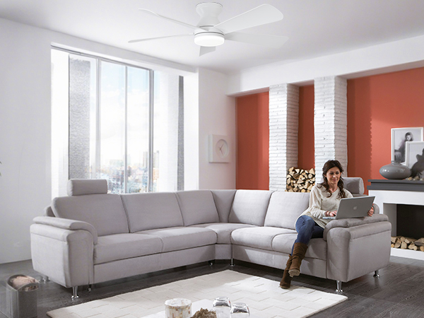 living room ceiling fan with lights