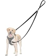 PetBonus Two Point Control Dog Leash, Works with No Pull Harnesses, No Tangle Training Leashes, S...