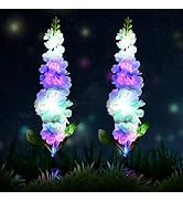 SolarEra Solar Lights Outdoor Waterproof, 2 Pack Solar Flowers, 7 Colors Changing Solar Delphiniu...