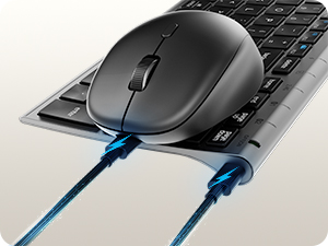 Bluetooth Keyboard and Mouse