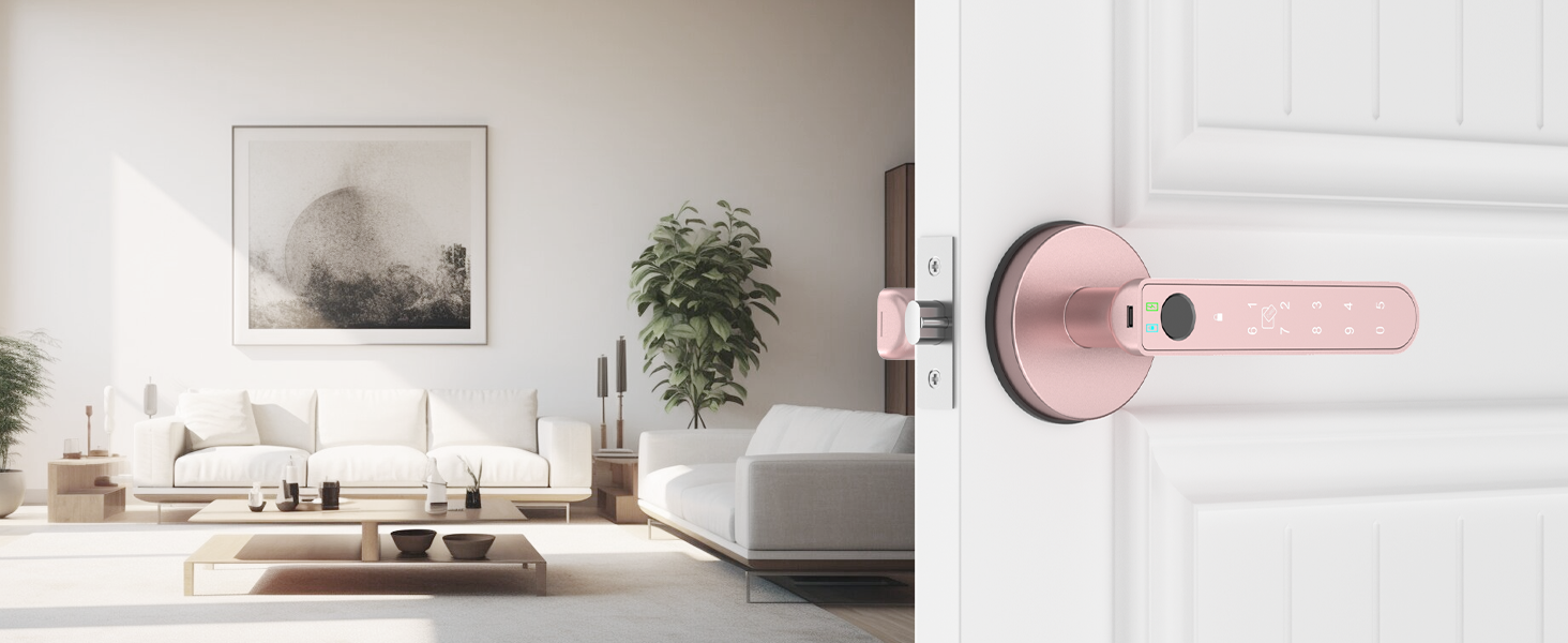 Living Room Door Lock