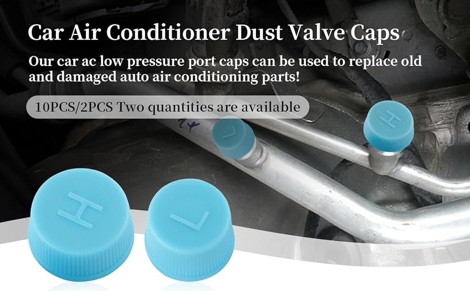 THESE AIR CONDITIONING VALVE CAPS WILL BE YOUR IDEAL CHOICE FOR REPLACEMENT PARTS!