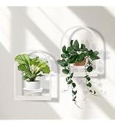 storenization Floating Shelves for Wall Plant Stand Indoor Set of 2, White Wall Plant Holder - Pr...