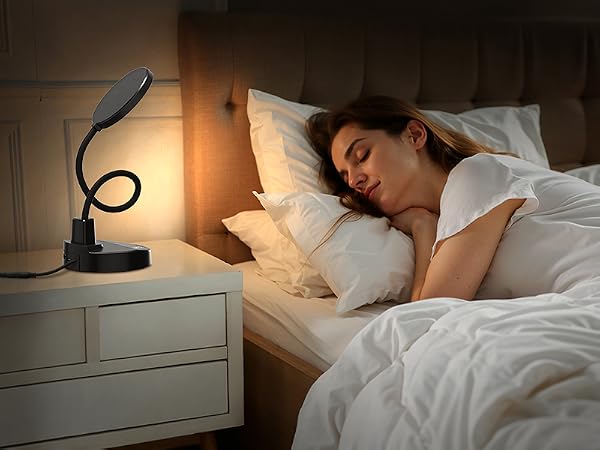 gooseneck lamp light