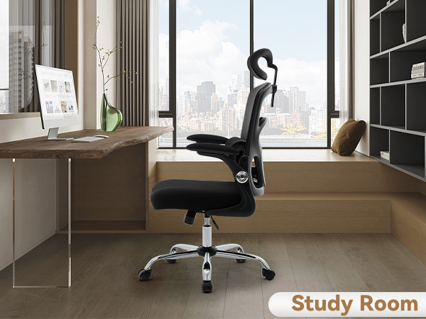 Office Chair Ergonomic Desk Chair