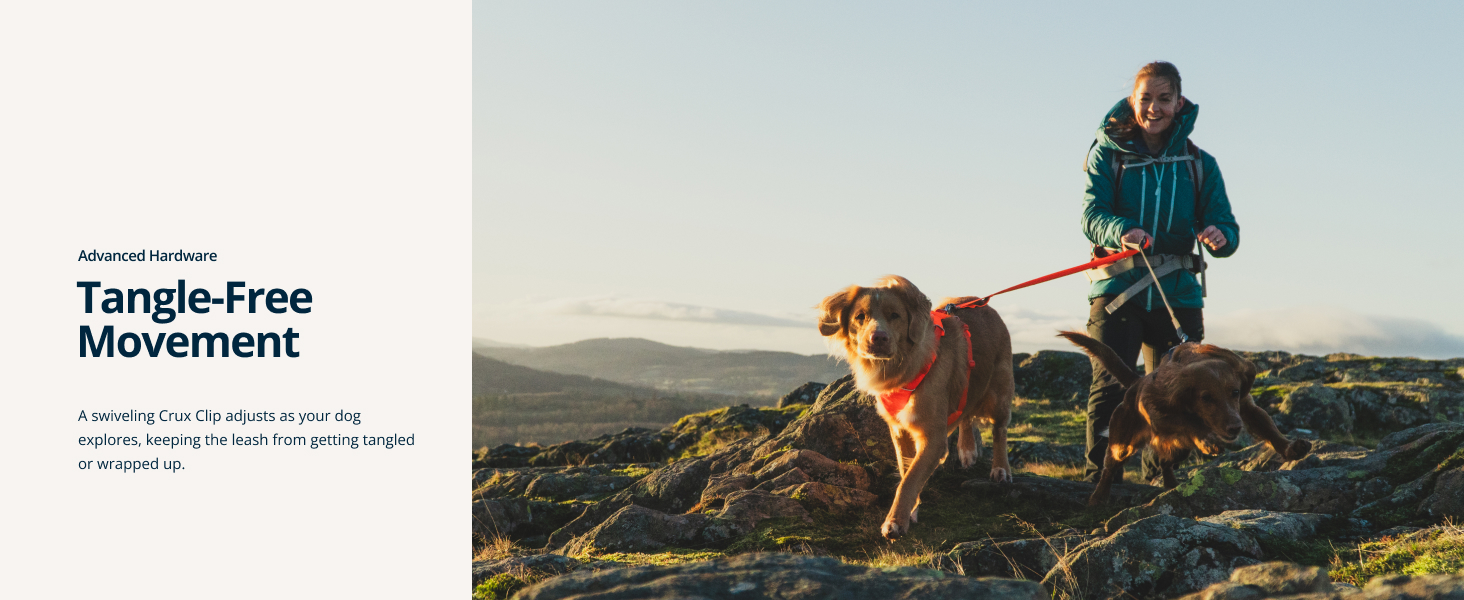 Strong dog leash for medium to large dogs with reinforced stitching at high-stress points.