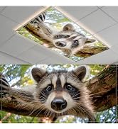 Fluorescent Light Covers-2 Pack 4 x 2 Feet Magnetic Ceiling Light Cover Room Supplies (Raccoon)