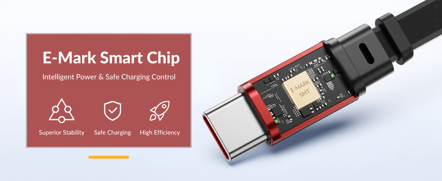 E-Mark Chip_Final