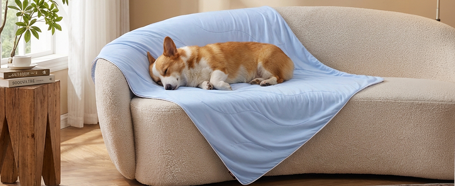 cooling blanket for dogs