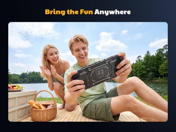 switch 2 dockable case