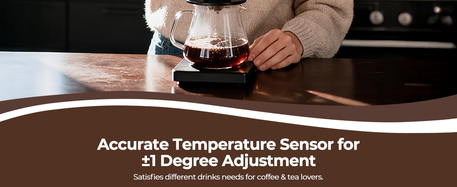 electric kettle temperature control