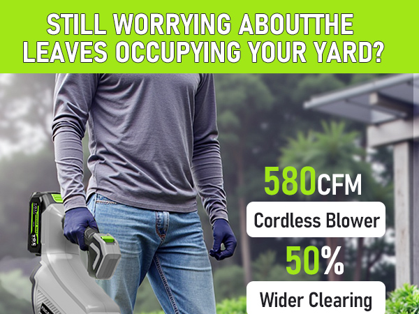 leaf blower cordless