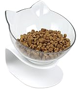 QIYADIN Tilted Raised Posture Cat Food Bowl Neck Protection Anti Vomiting 15 Degree Elevated Slan...