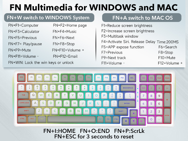 multimedia