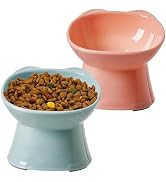 KSIA Klear Elevated Cat Bowls 2 Pack, Tilted Raised Cat Bowls for Indoor Cats, for Food and Water...