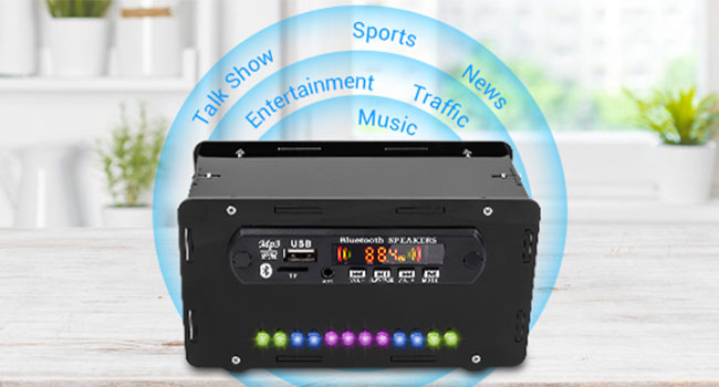 FM Radio Kit