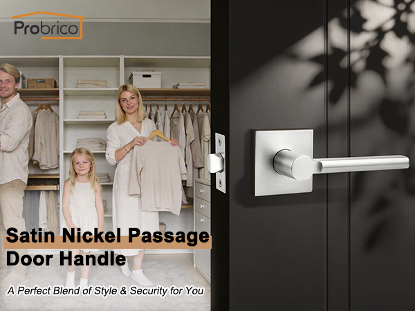 Nickel Passage Door Handle