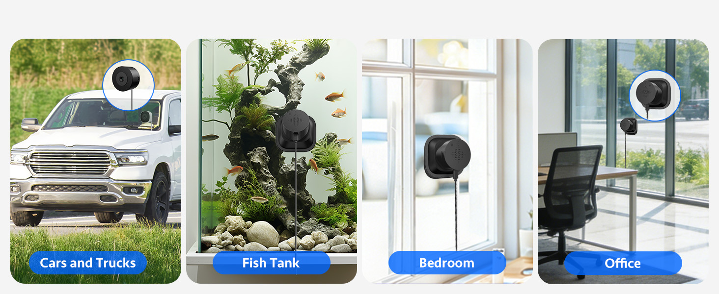 window cameras