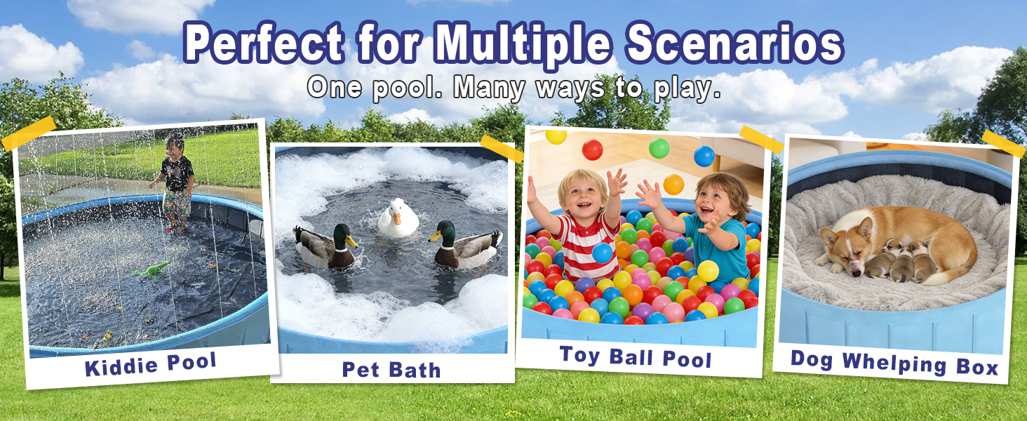 duck pool