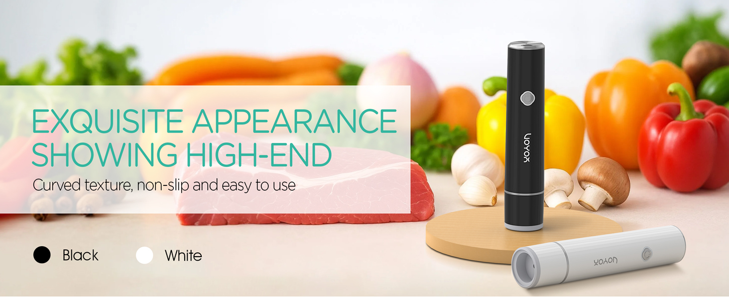 food saver handheld vacuum sealer
