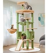 Taoqimiao 72 Inches Cat Tree for Large Cats, Multi-Level Tall Cat Tower, Widened Cat Condo with L...