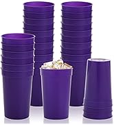 Fasmov 30 Pack 16 oz. Plastic Cups Plastic Tumblers Blank Reusable Drink Tumblers for Parties, Ev...
