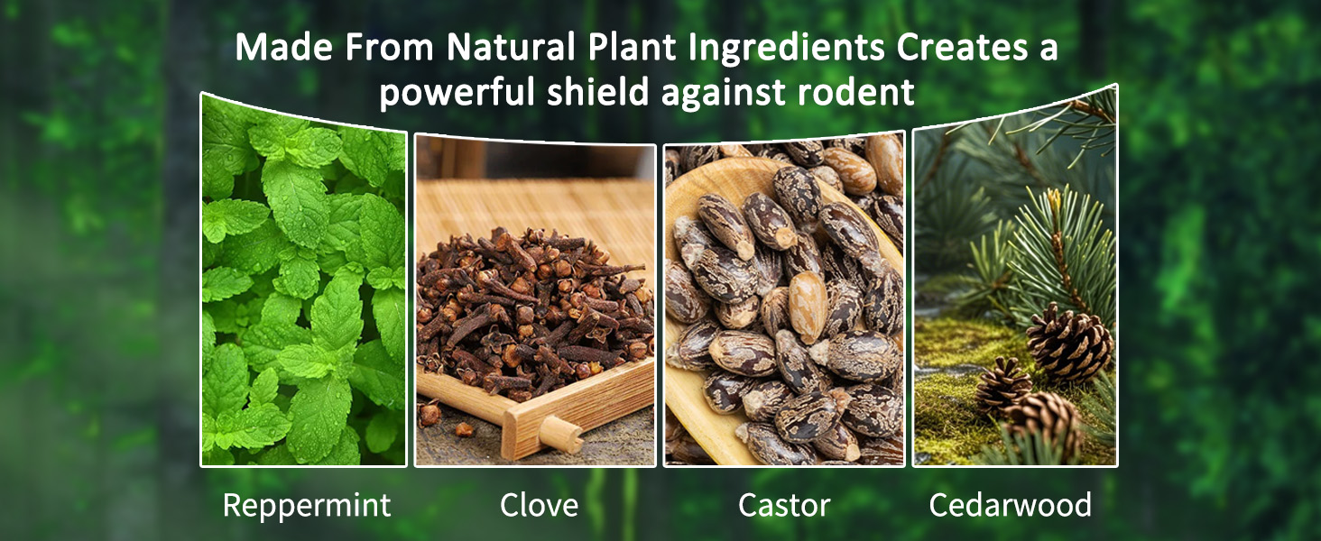 Mouse Rodent Repellent