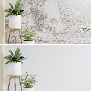mildew