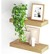 Fun Memories Floating Shelves for Wall, 20Inch Floating Shelves Set of 2, Hanging Shelf with Invi...