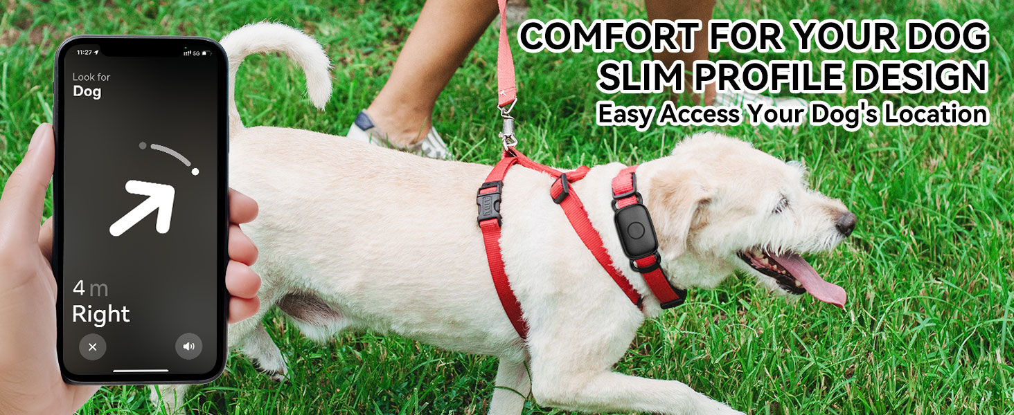 COMFORT FOR YOUR DOG SLIM PROFILE DESIGN Easy Access Your Dog's Location