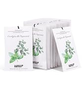 MYARO 12 Packs Eucalyptus Mint Scented Sachets for Drawer and Closet, Long-Lasting Closet Sachet ...