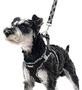PUPTECK Dog Harness and Leash Set for Small Medium Dogs No Pull Step-in Soft Mesh Puppy Cat Vest ...
