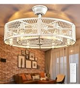 Depuley Outdoor Ceiling Fan with Light: 26" Caged Ceiling Fans with Remote App Control for Patio ...