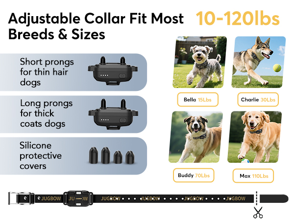 dog collar for large dogs