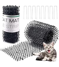 https://m.media-amazon.com/images/I/51%2BC%2BG9ZTOL.__AC_SR200,225___.jpg