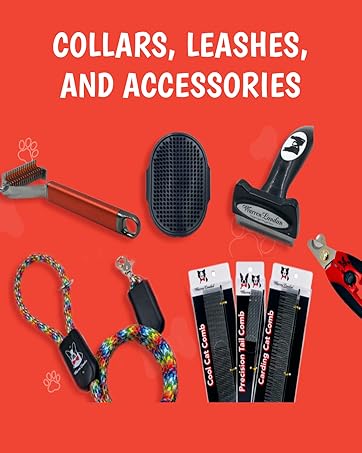 Collars, Leashes, and Accessories