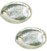 2 Pcs Large Abalone Shell Bowl 4-4.5 Inch Colorful Natural Smudge Bowl for Sage Burning and Incen...