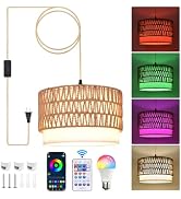 ZSLAIFU Hanging Lamp Plug in Pendant Light, 15FT Hanging Lights with Plug in Cord, Hanging Light ...