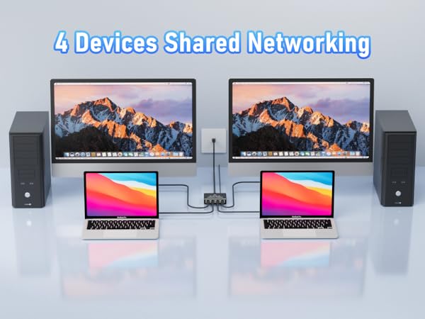 Internet Splitter 1 in 4 Out