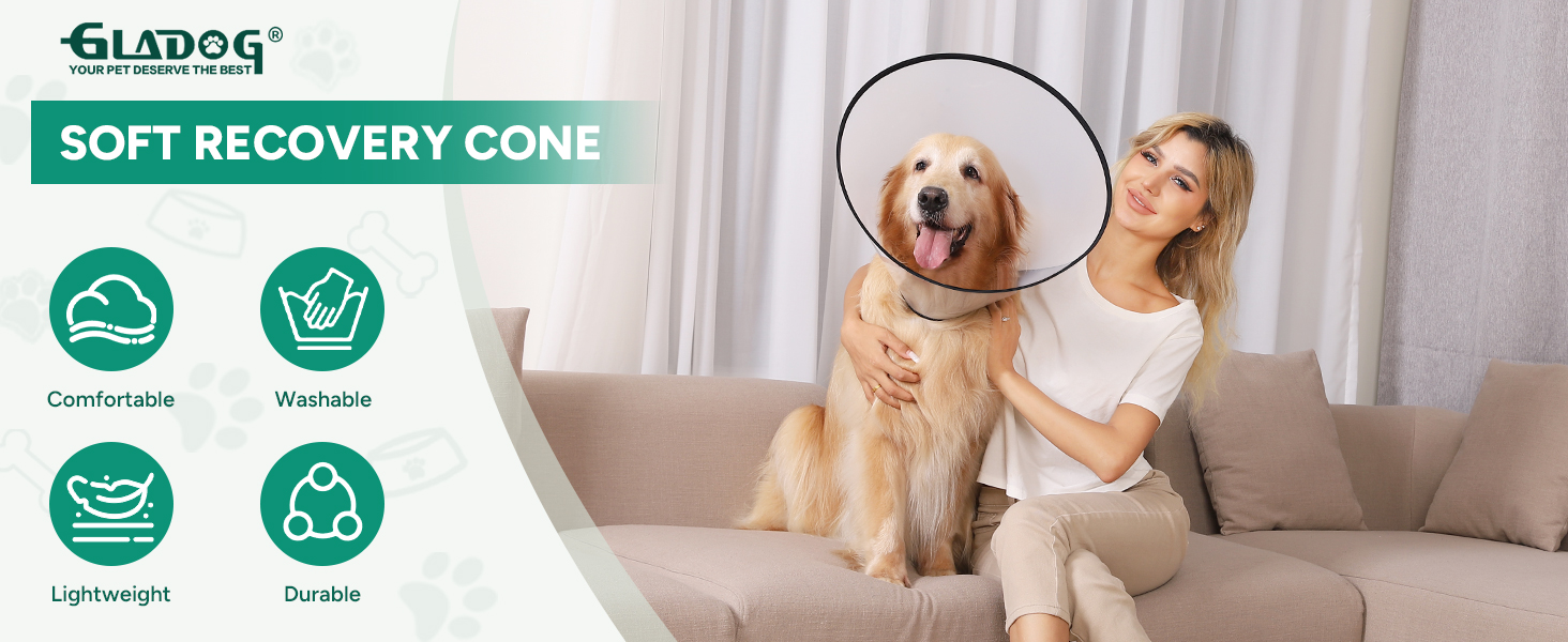dog cone