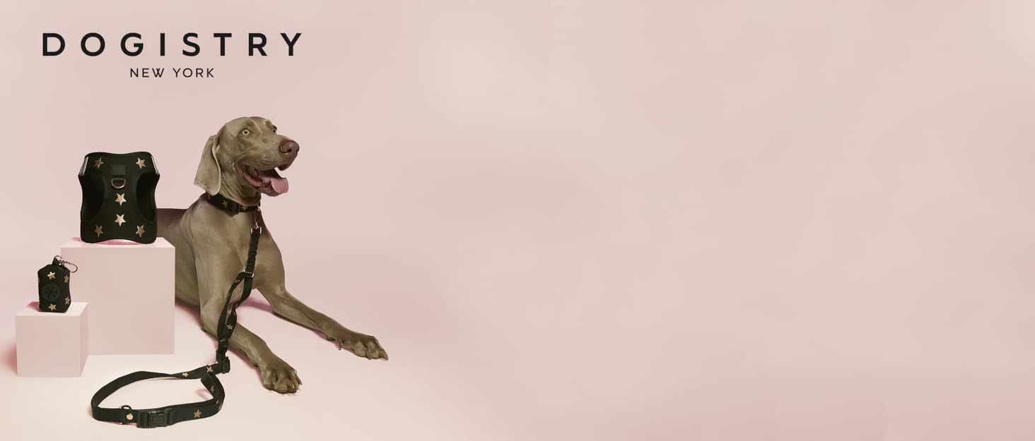 pet accessory pets gear extra large breed stylish dog neckband big puppy strong bigger size pets