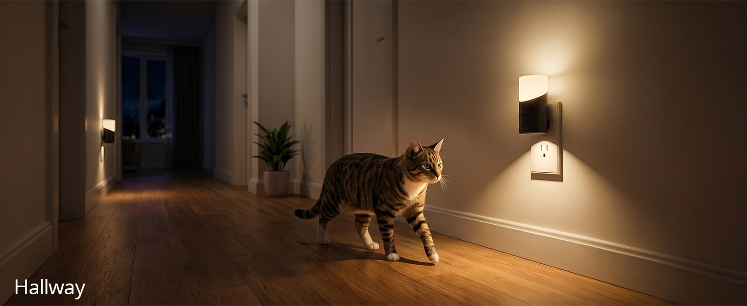hallway night light for cat
