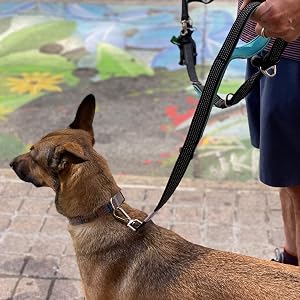 dog poop bag holder holders for leashes dispenser leash bags rolls dogs waste with doggie earth rate