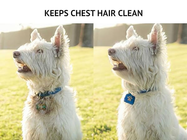 Dog tag silencer helps keep fur clean around the collar area