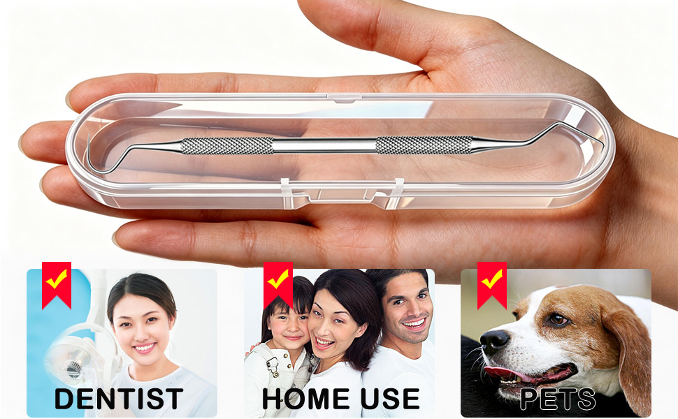 dental kit oral care tools