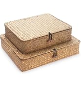 Seagrass Storage Baskets with Lid, Flat Wicker Basket, Rattan Storage Bins, Shallow Woven Basket ...