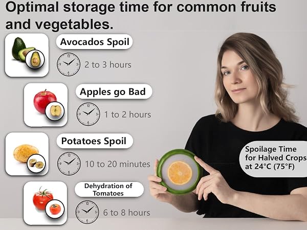 avocados fresh