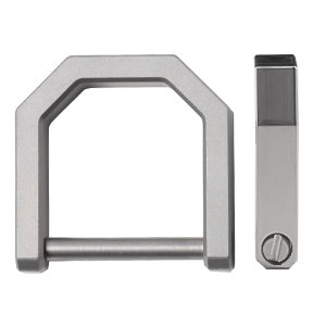 D titanium ring